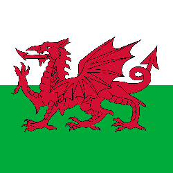 Welsh Flag